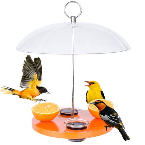 Kingsyard Oriole Bird Feeder for Outside With Big Dome Orange Fruit, Jelly, Mealworm,Nectar