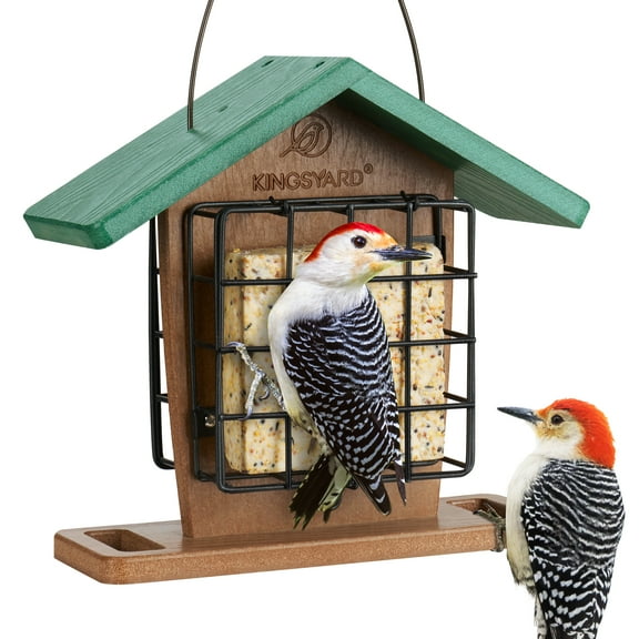Kingsyard Recycled Plastic Suet Bird Feeder, Premium Birdfeeder with Double Suet Cages Cakes, Durable & Weatherproof, Great for Attracting Wild Birds