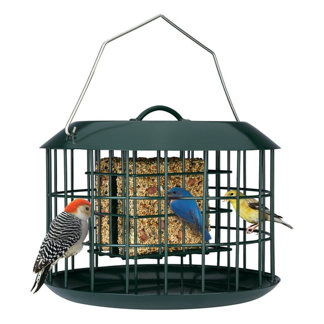 Kingsyard Squirrel Proof Double Suet Feeder, Metal Cage Bird Feeders for Outdoors Hanging, Green