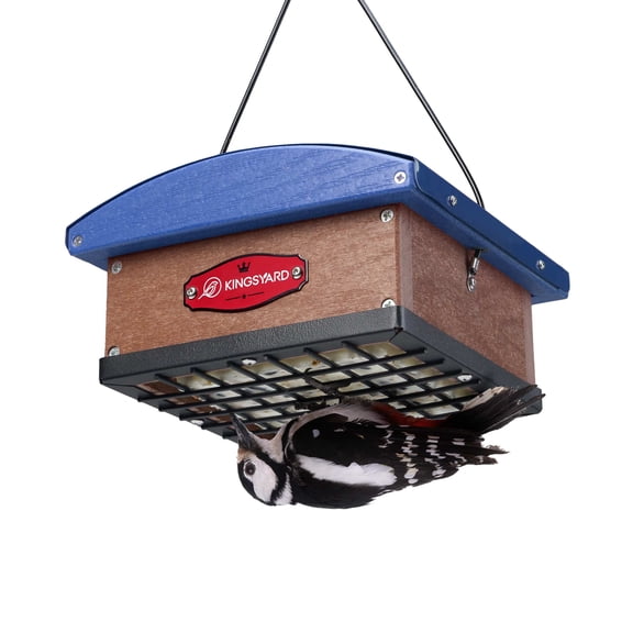 Kingsyard Upside Down Double Suet Feeder with Metal Weatherproof Roof, Recycled Plastic Bird Feeder for Outdoors Hanging, Great for Attracting Woodpecker, Nuthatch, Titmouse, Blue