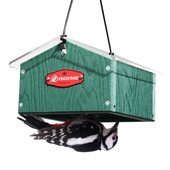 Kingsyard Upside Down Double Suet Feeder for Outside Hanging - Recycled Plastic Wild Bird Feeder with Rainproof Roof for Attracting Woodpeckers Nuthatches Chickadees Finches. Green