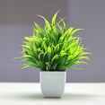 thumbnail image 1 of Kingtowag Clearance Artificial Flowers Porch Indoor Cemetery Fall Winter Decor, Simulation Potted White Pot New Spring Grass, Perfect for Wedding, Holiday, Parties Gifts, 1 of 7