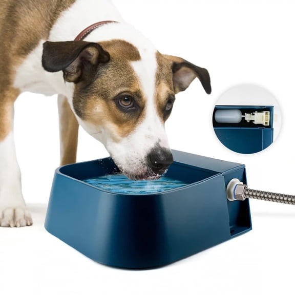 Kingtowag Pet Bowl Float Type Automatic Water Dispenser 2L, Outdoor Dog Cat Chicken Waterer Blue, Float Valve Water Bowl, Connects to Hose for Automatic Refill