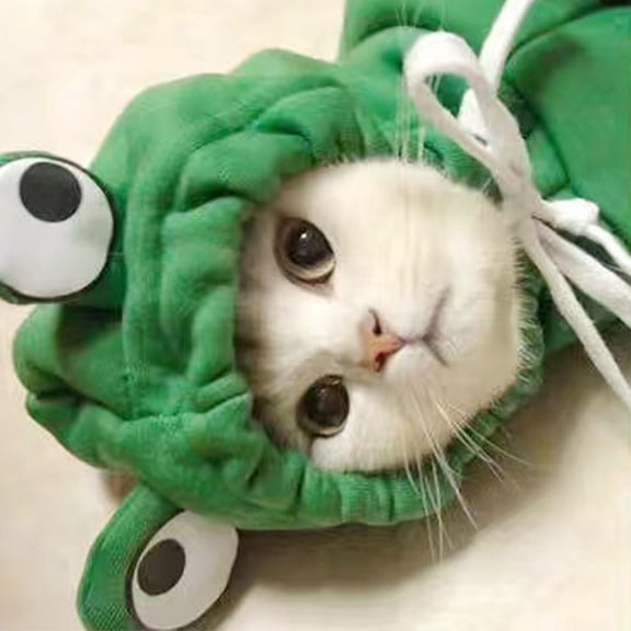 Kingtowag Pet Hooded Cotton Jacket Size M, Frog Hoodie Autumn Winter Warm Clothes Cute Funny Apparel, Full Sizes S-XXL, Frog Dog Hoodie Funny Pet Sweater