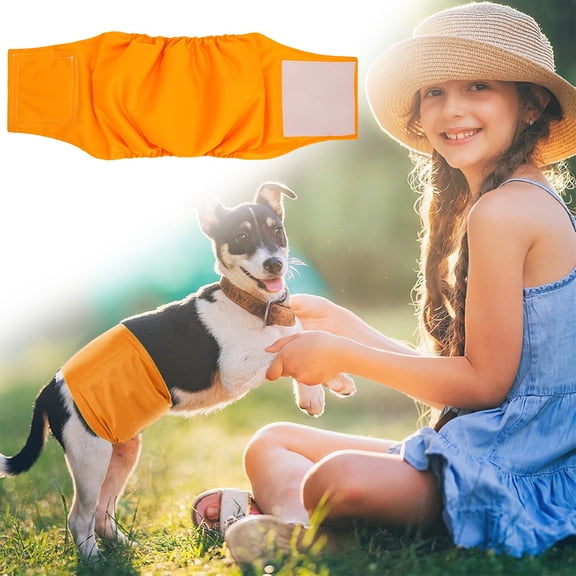 Kingtowag Pet Sanitary Pants Orange 42x12, Washable Physiological Pants Dog Sanitary Belt, Dog Physiological Pants Washable Absorbent Male Dog Wraps, Adjustable Comfortable