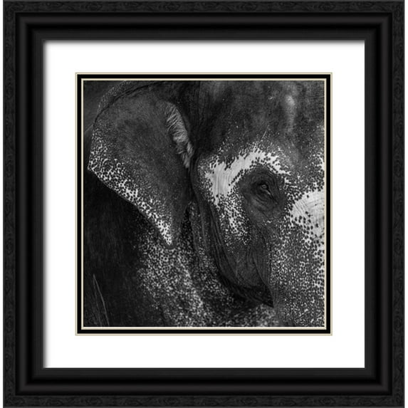 Kiperman, Roni 15x15 Black Ornate Wood Framed with Double Matting Museum Art Print Titled - Love