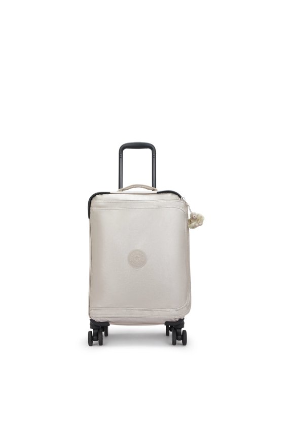 Spontaneous Small Metallic Rolling Luggage