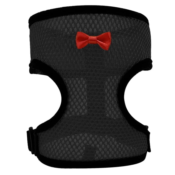 Kiplyki Duckling And Chicken Traction Belt Animal Traction Rope