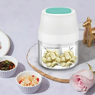 Electric Mini Food Garlic Chopper, 250ml Small Ayotte Cordless Food Processor, IPX65 Full Body Waterproof Portable Electric Vegetable Cutter Kitchen