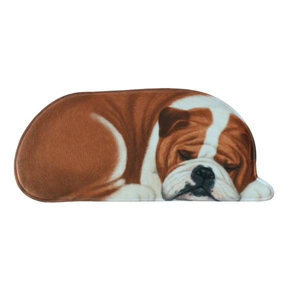 Kiplyki Flash 3D Cute Pet Dog Themed Carpet,Welcome Floor Doormat 34.25x15.74in Non Slip Floor Mat Summer Holiday Funny Novelty Door Mats Indoor Outdoor Decor