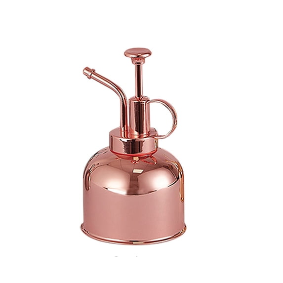 Kiplyki Flash Plant Spray Bottle Stainless Steel Watering Can For Indoor Plants Succulent Bonsai Garden Houseplant Spritzer Modern Garden Tools