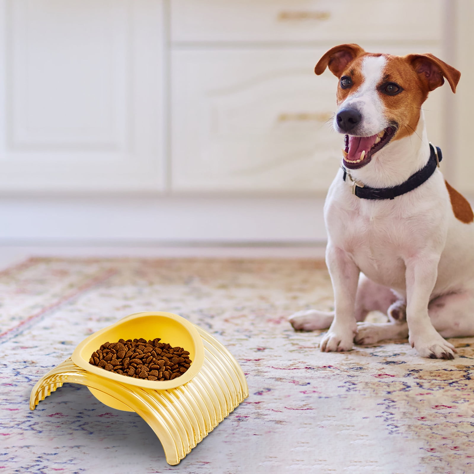 Kiplyki Garden Savings Slow Feed Dog Bowl Slowly Bowly, Fun Interactive Dog Dish for Fast Eaters