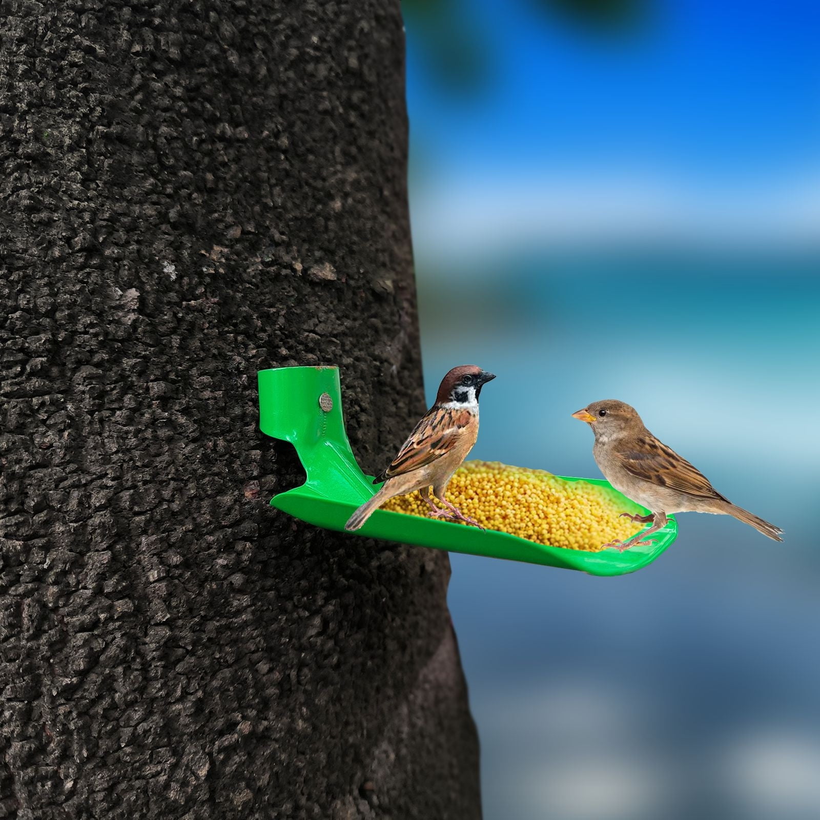 Bird Bath Bseical 2 Piece Wall Mounted Bird Feeder, For Garden, Fence Bird Feeder Tray,Deck Bird Feeder Tray, Attracting Wild Birds,Bird Water Feeder Bird Feeders Outdoor Hanging