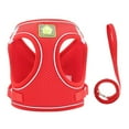 thumbnail image 1 of Kiplyki Soft Mesh Step-in Small Dog Cat Leash Set Reflective Puppy Vest, 1 of 5