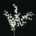thumbnail image 1 of Kiplyki Wholesale Artificial Flower Dancing Orchid Fake Flower Home Wedding Party Floral Decor, 1 of 2