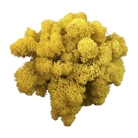 Kiplyki Artificial Green Plant Immortal Fake Flower Moss Grass For Home Living Room Decorative Wall DIY Flower Mini Colorful Accessories