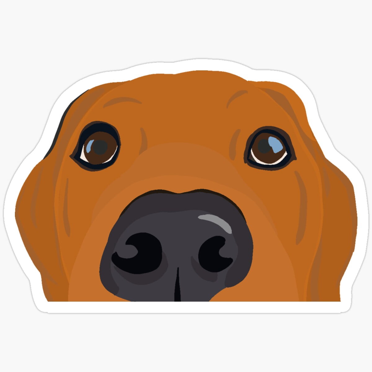 Red Lab Stickers Kira Sticker - Curious Red Labrador Puppy Sticker, Funny Waterproof ...