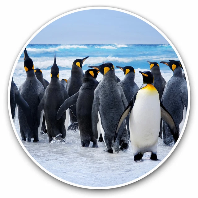 Kira Sticker With Emperor Penguin Flock Beach Cool Gift Decorative ...