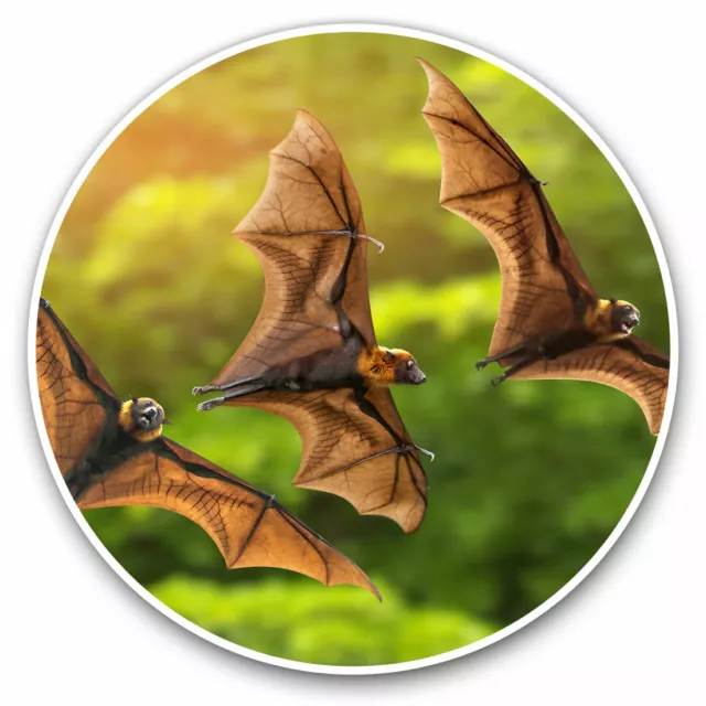 Kira Sticker With Flying Bats Bat Nature Wild Cool Gift Decorative ...