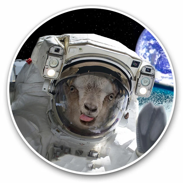 Kira Sticker With Goat Astronaut In Space Earth Cool Gift Decorative ...