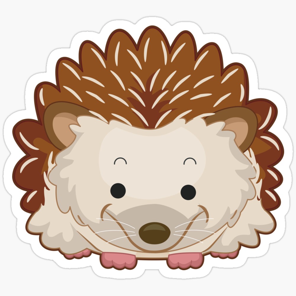 Kira Sticker With Cute Hedgehog Hydro Decorative Laptop, Phone Stickers ...