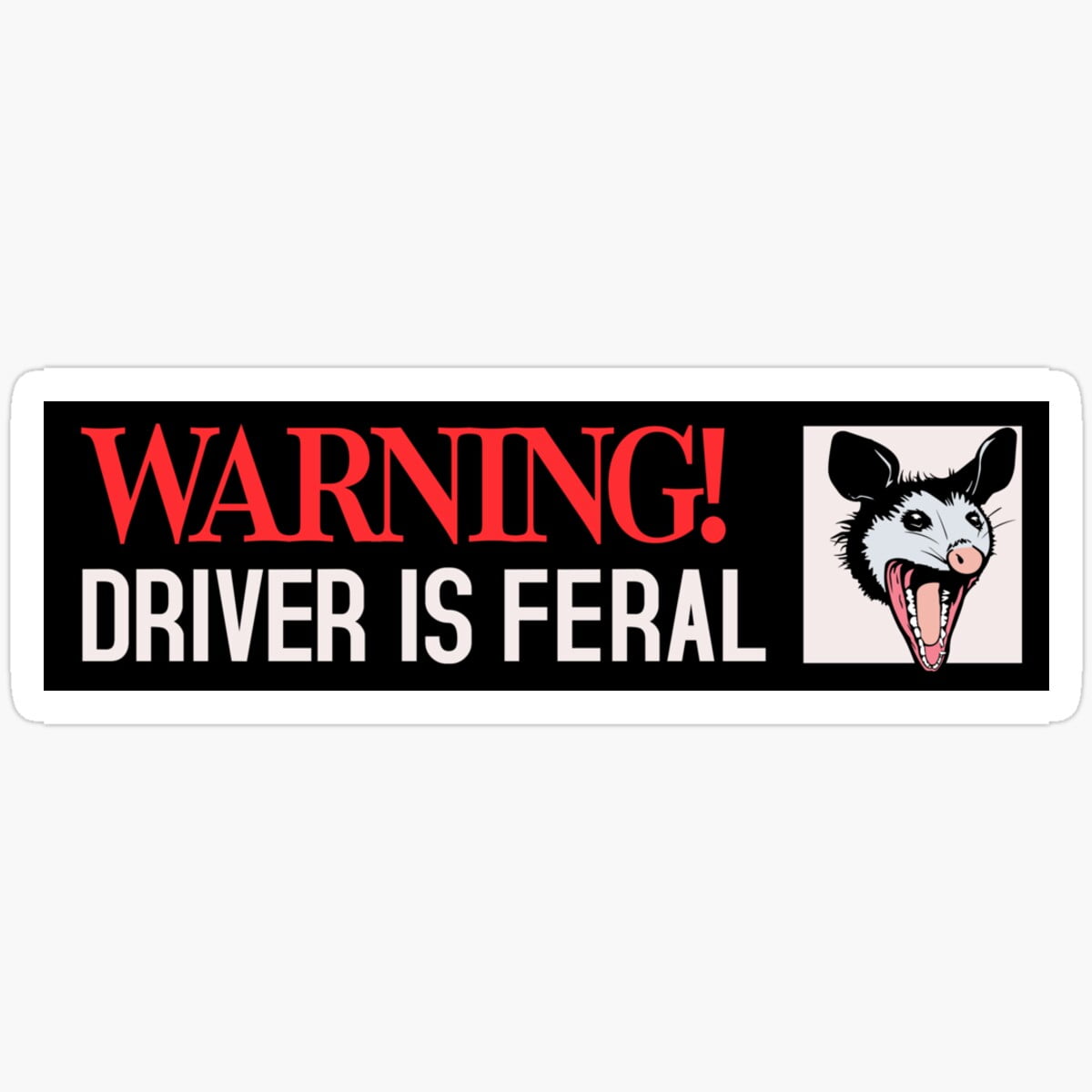 Kira WARNING! Driver is Feral Funny Bumper Sticker Waterproof Sticker ...