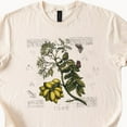 thumbnail image 1 of Kiraa Tee With Botanical T-Shirt, Vintage Flower Graphic Tee, Nature Inspired Shirt, Unique Plant Design, Artistic Floral Print, Cottagecore Clothing Birthday Gifts; For Men & Women, 1 of 4