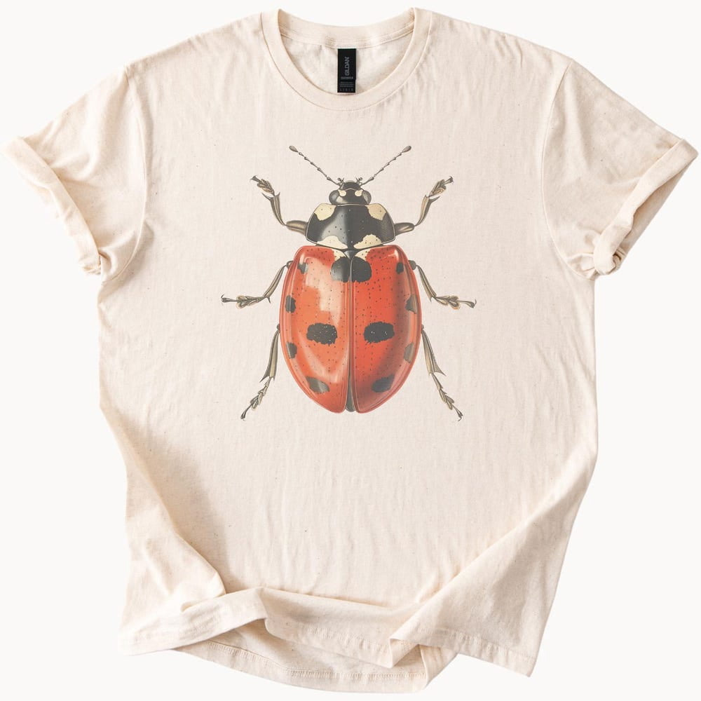 Kiraa Tee With Ladybug Graphic T Shirt Nature Insect Art Shirt ...