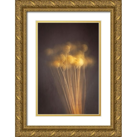 Kiral, Cicek 11x14 Gold Ornate Wood Framed with Double Matting Museum Art Print Titled - Curious Heads