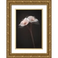 thumbnail image 1 of Kiral, Cicek 13x18 Gold Ornate Wood Framed with Double Matting Museum Art Print Titled - Illusions, 1 of 4