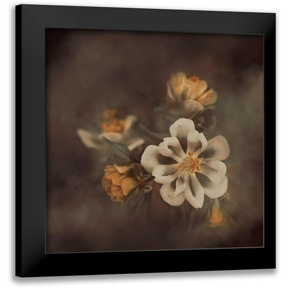 Kiral, Cicek 20x20 Black Modern Framed Museum Art Print Titled - Distant Realms
