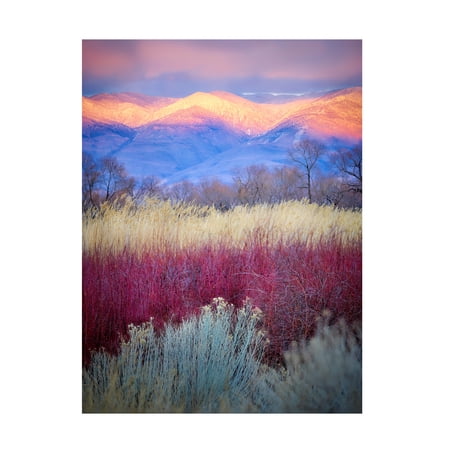 Kirbyturnage 'Field Layers' Canvas Art