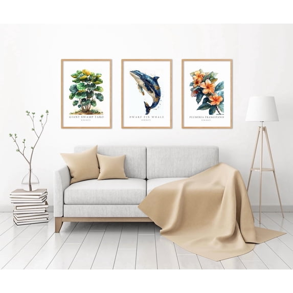 Kiribati National Symbols Fin Whale Plumeria And Swamp Taro Tree ...