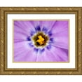 thumbnail image 1 of Kirkland, Dennis 24x19 Gold Ornate Wood Framed with Double Matting Museum Art Print Titled - AK, Artic NWR, Abstract Siberian flox flower, 1 of 4