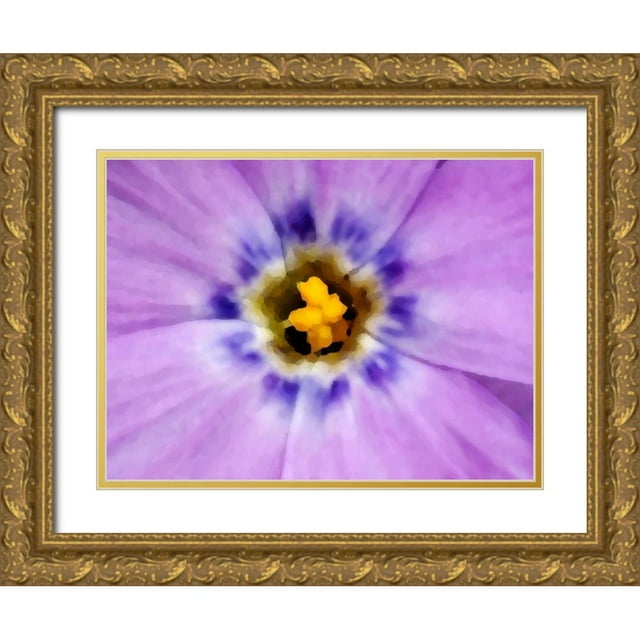 Kirkland, Dennis 24x19 Gold Ornate Wood Framed with Double Matting Museum Art Print Titled - AK, Artic NWR, Abstract Siberian flox flower