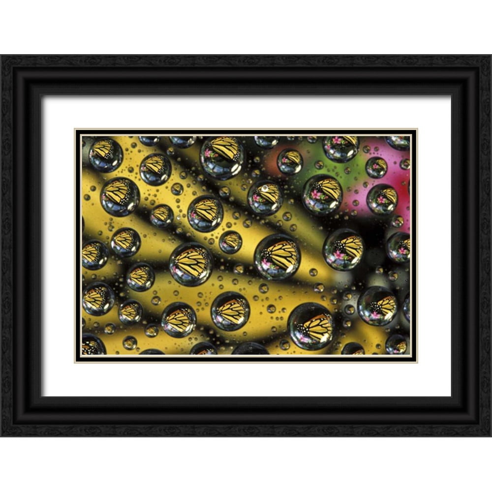 Kirkland, Dennis 32x23 Black Ornate Wood Framed with Double Matting