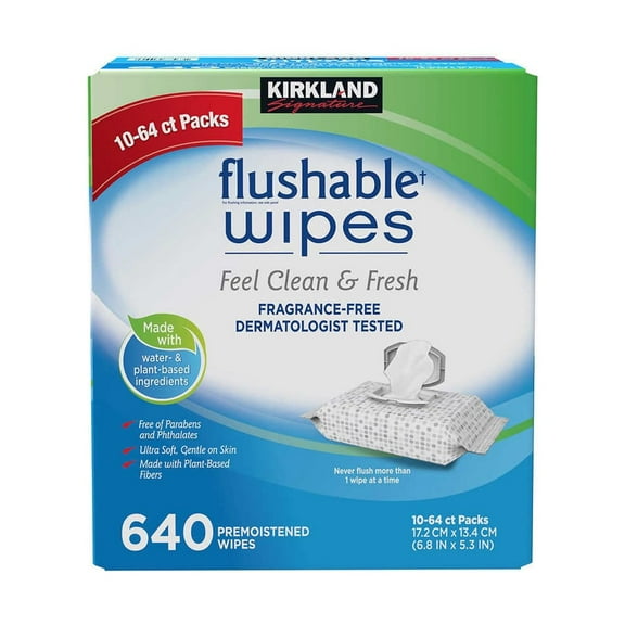 Kirkland Signature Premoistened Flushable Wipes, Fragrance Free, 640 Count