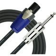 thumbnail image 1 of Kirlin Speaker Cable - 1/4" Mono Plug - speakON 3 ft., 1 of 1
