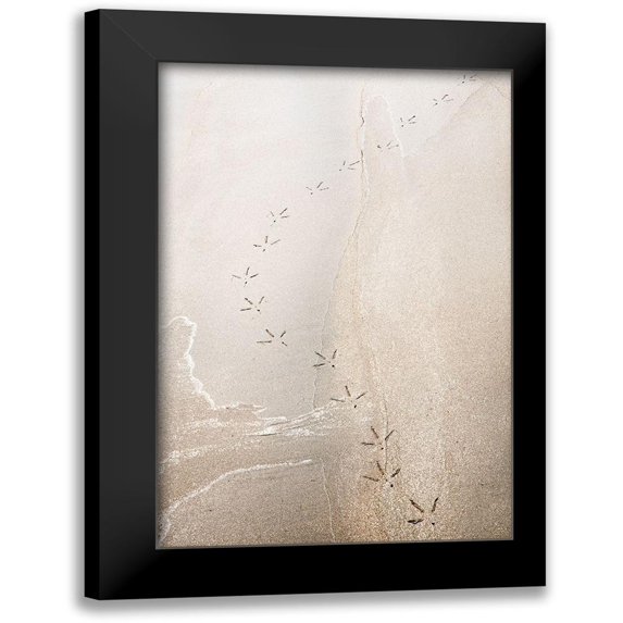 Kirshner, Dmitry 13x18 Black Modern Framed Museum Art Print Titled - Just Passing By