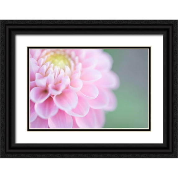 Kirshner, Dmitry 32x23 Black Ornate Wood Framed with Double Matting Museum Art Print Titled - Pink Cups