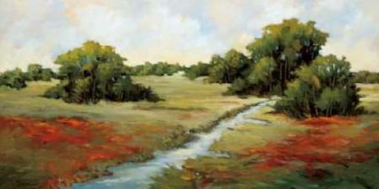Kissimmee Grasslands Canvas Art - Maija Baynes (10 x 20)