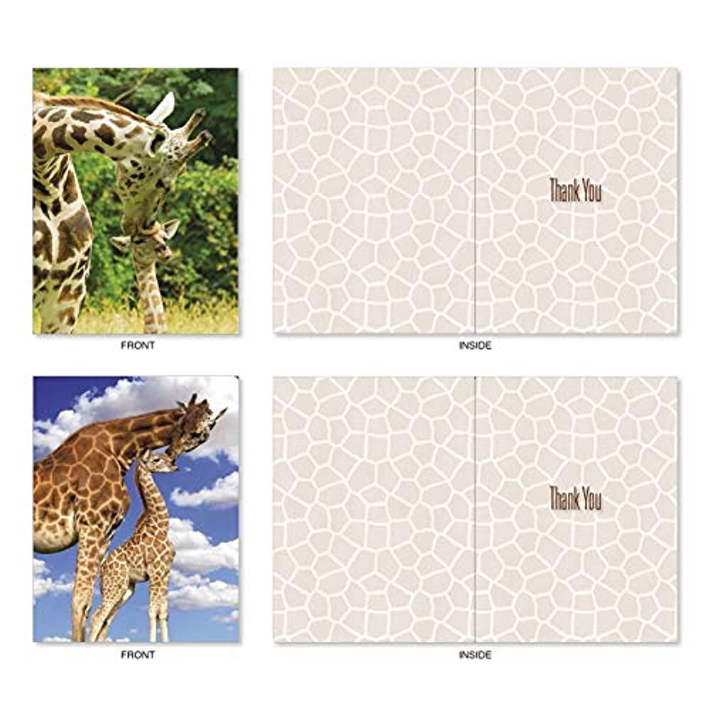Kissing Giraffes - 10 Cute Thank You Note Cards with Envelopes (4 x 5. ...