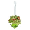 thumbnail image 1 of Kissing Krystals Teeny EVERGREEN CRYSTAL Mistletoe Christmas Ornament by Ganz, 1 of 2