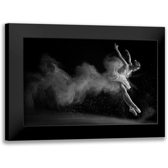 Kisworo, Sebastian 24x17 Black Modern Framed Museum Art Print Titled - The White Swan
