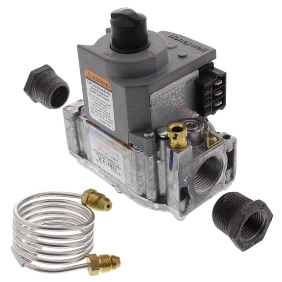 Raypak 003900F Gas Valve IID NATPOOL Kit