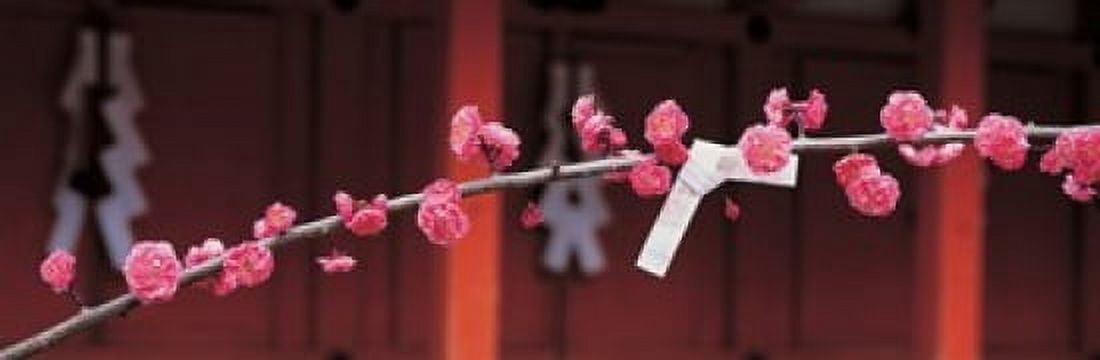 Kitano Tenmangu Kyoto Japan Canvas Art - Panoramic Images (36 x 12)