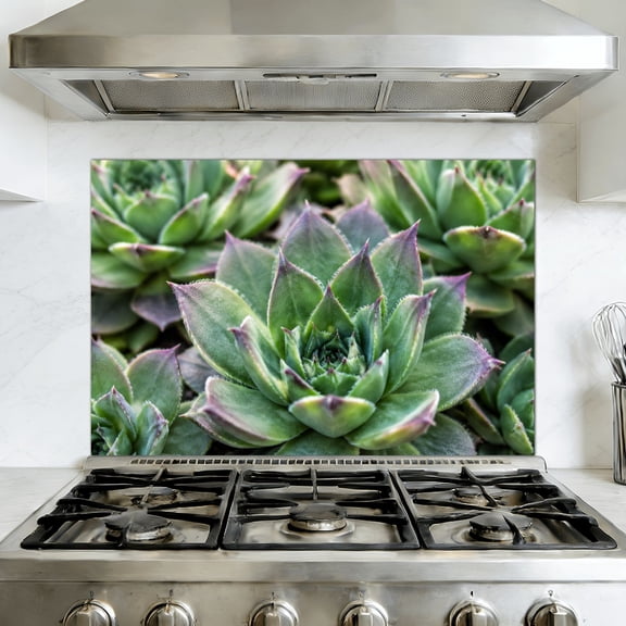 Kitchen Backsplash Peel and Stick Wall Murals Succulent plants set Removable Mural 35.4"W x 23.6"H, Oil Proof Vinyl Wallpaper for Fireplace & Behind Stove