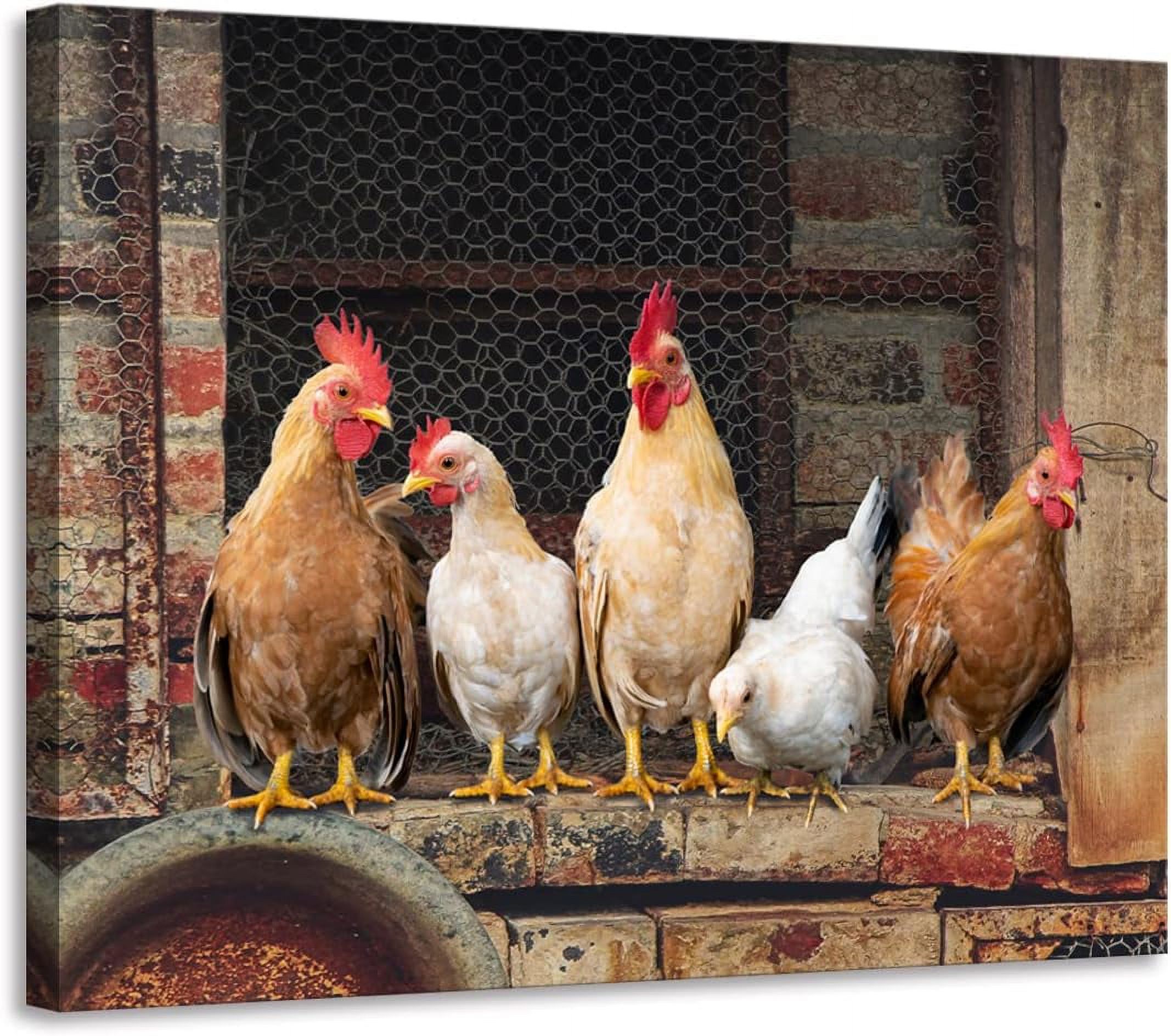 Kitchen Decor Wall Art Farm Rooster Chicken Pictures for Farmhouse