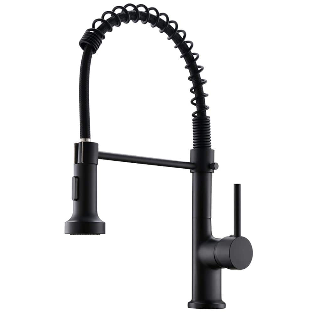 Matte Black Brass Single-Handle Pull-Down Kitchen Faucet
