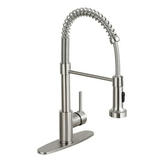 Kitchen Faucet Sprayers in Shop Kitchen Faucets by Type